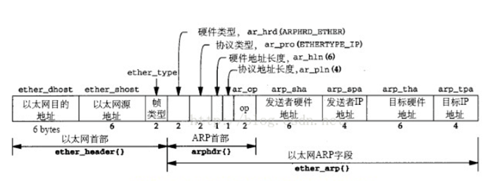 图5 ARP报文结构