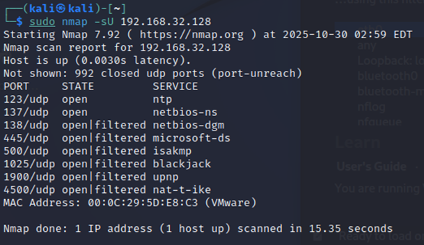 图13 UDP端口扫描