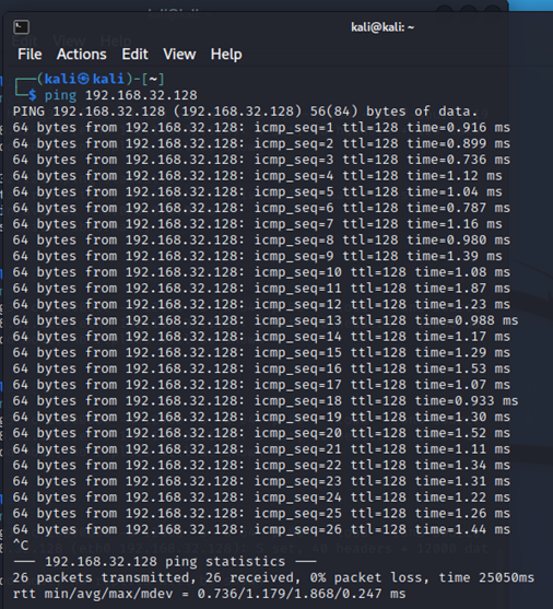 图15 攻击前ping结果