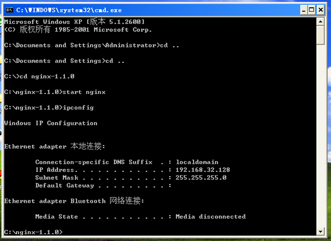 图2 nginx启动结果