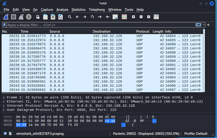 图21 UDP Flood抓包结果
