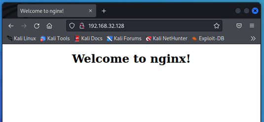 图3 靶机访问localhost